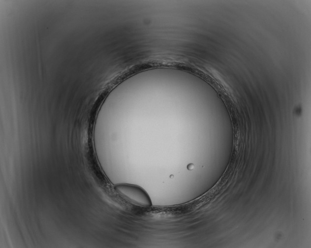 X0000100780500200806191020