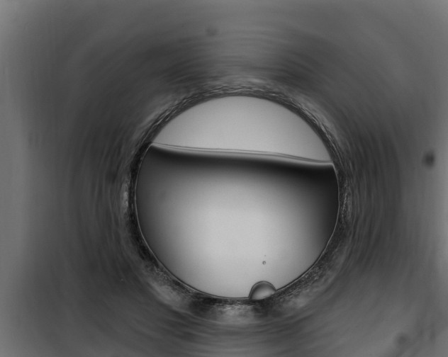 X0000100780501200806191020