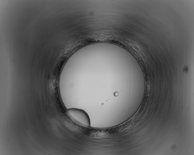 X0000100780503200806191020