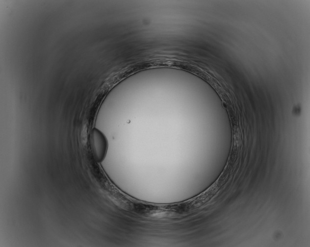 X0000100780504200806191020