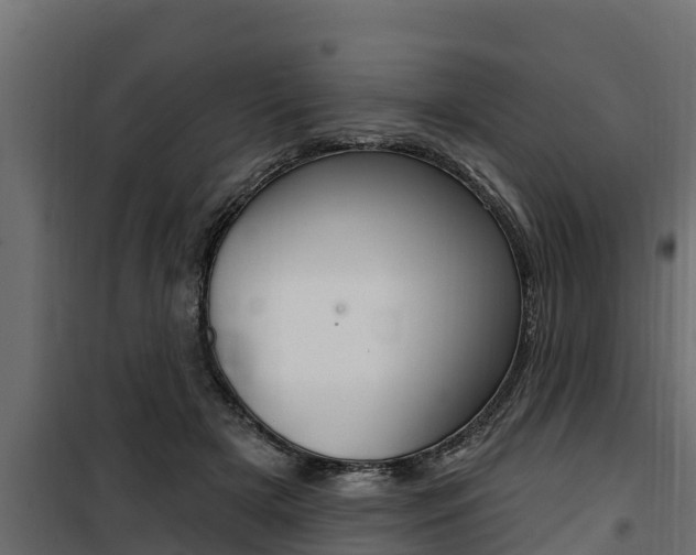 X0000100780505200806191020