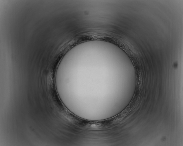 X0000100780506200806191020