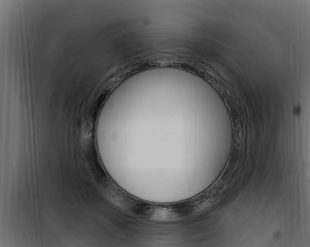 X0000100780507200806191020