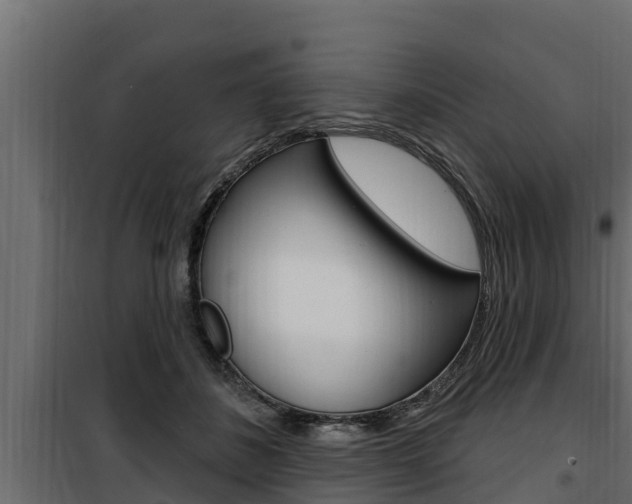 X0000100780508200806191020