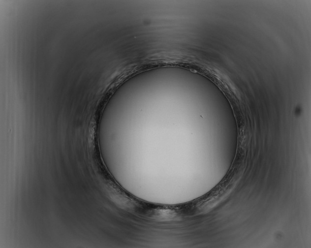 X0000100780509200806191020