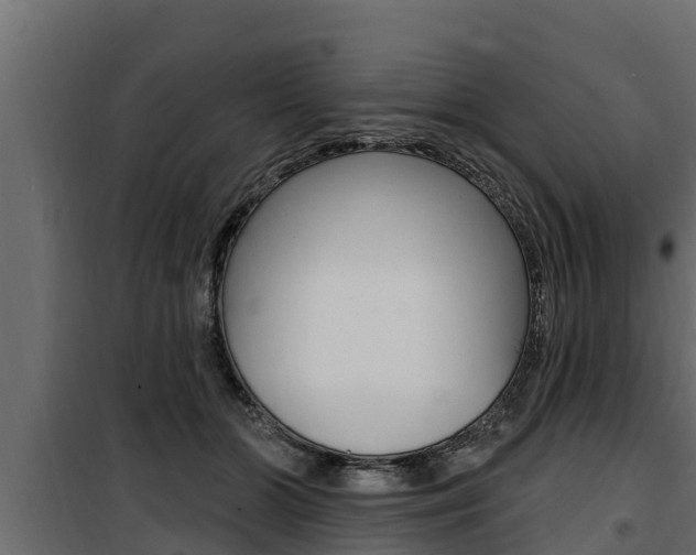 X0000100780510200806191020