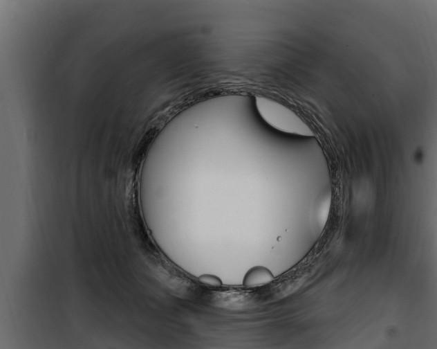 X0000100780511200806191020