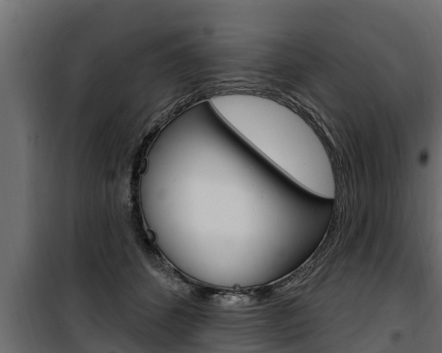 X0000100780512200806191020