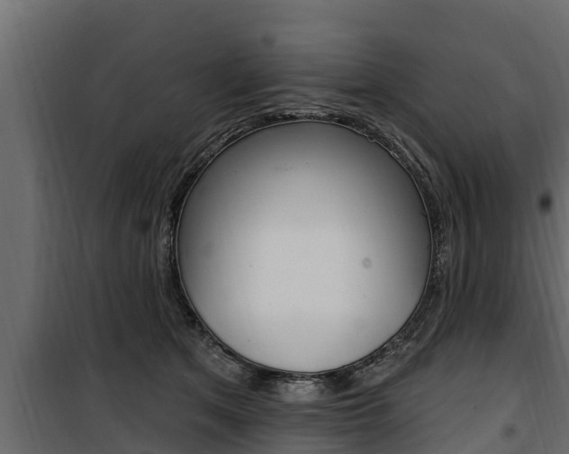 X0000100780513200806191020