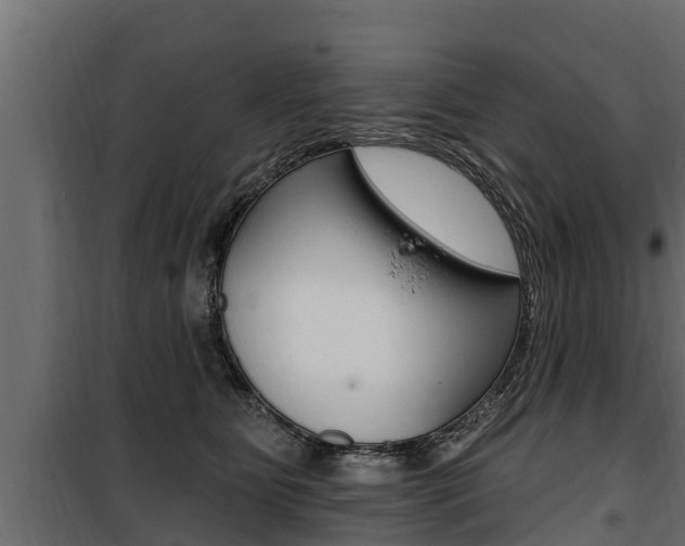 X0000100780515200806191020