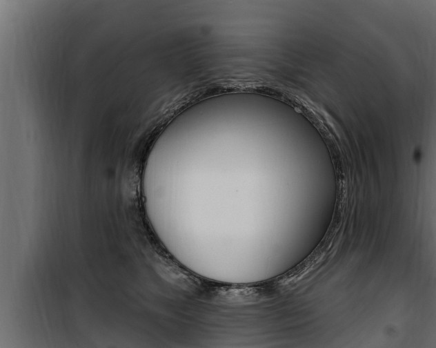 X0000100780517200806191020