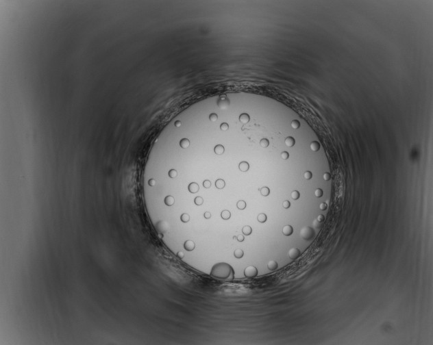 X0000100780519200806191019