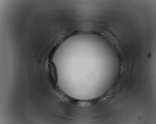 X0000100780520200806191019