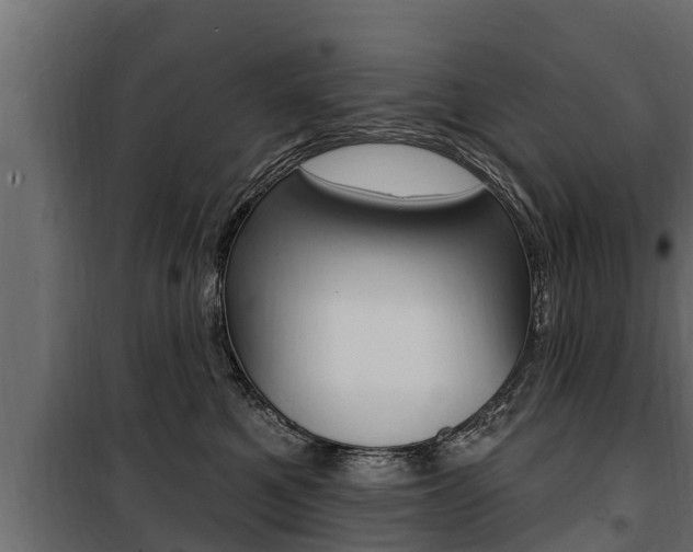 X0000100780521200806191019