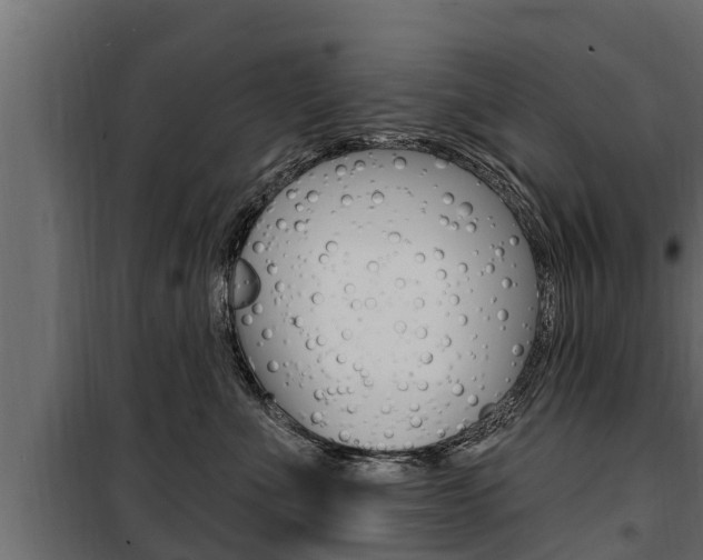 X0000100780523200806191019