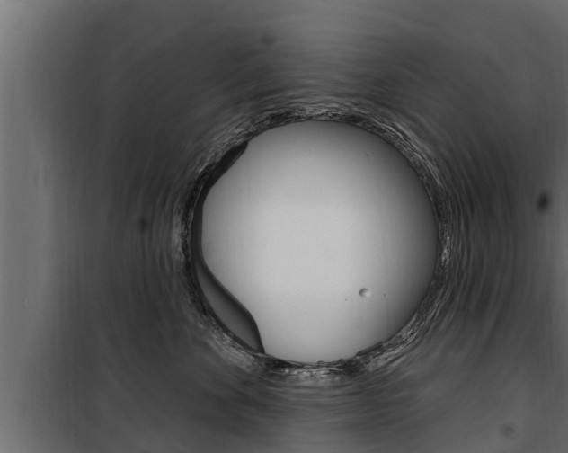 X0000100780524200806191019