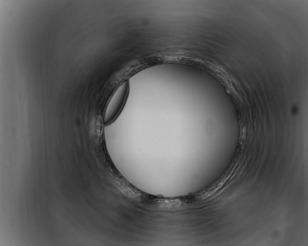 X0000100780525200806191019