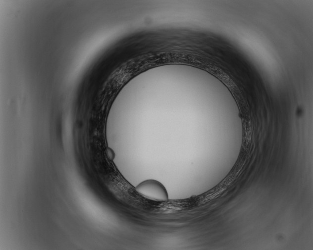 X0000100780526200806191019