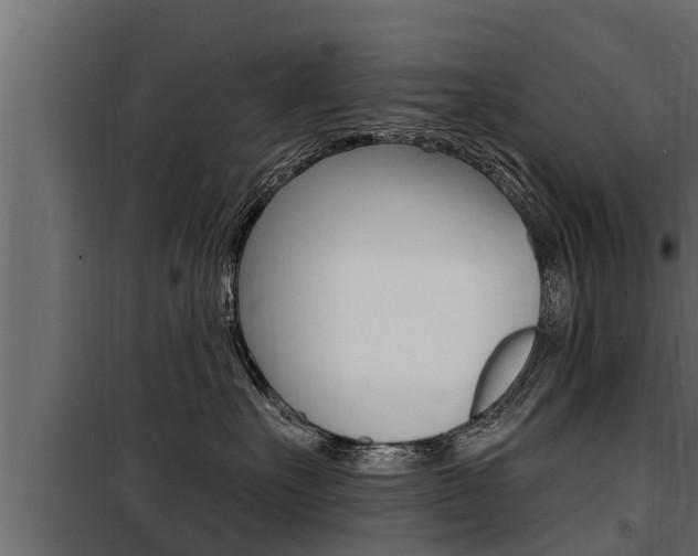 X0000100780527200806191019