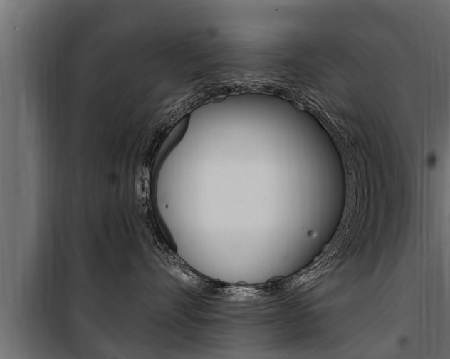 X0000100780528200806191019