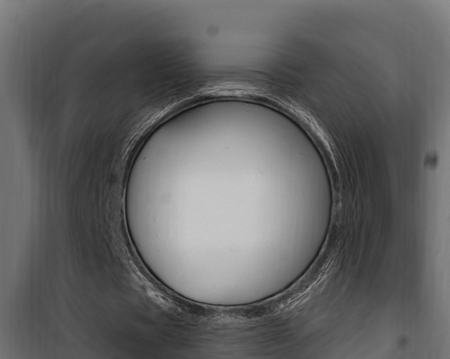 X0000100780529200806191019