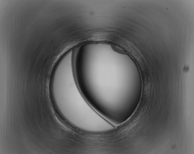 X0000100780530200806191019