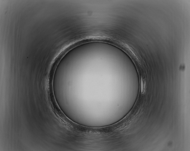 X0000100780531200806191019