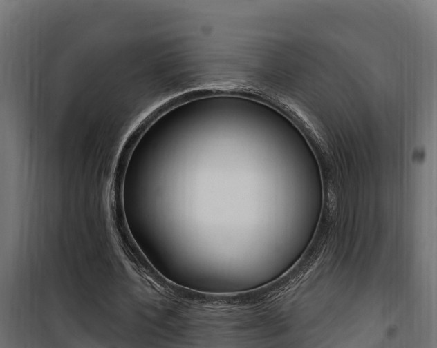 X0000100780532200806191019