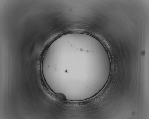 X0000100780533200806191019