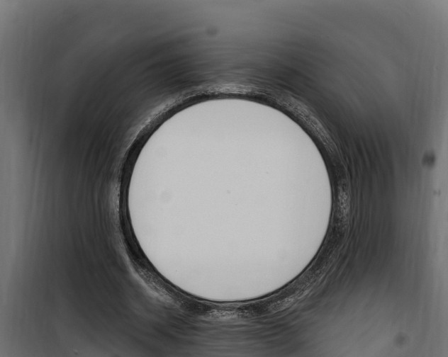 X0000100780534200806191019