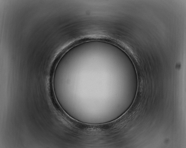 X0000100780535200806191019