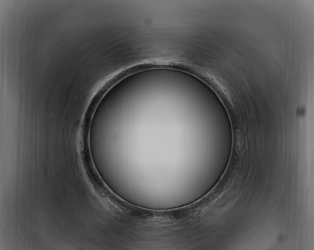 X0000100780536200806191019