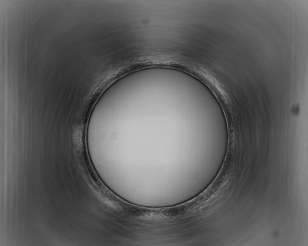 X0000100780537200806191019