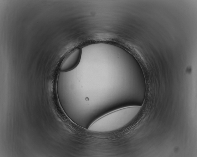 X0000100780539200806191019