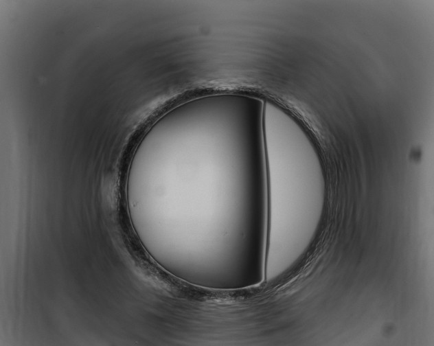 X0000100780540200806191019