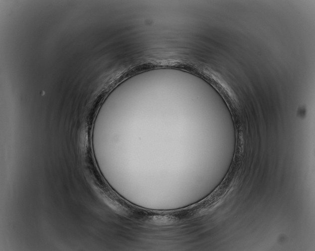 X0000100780541200806191019