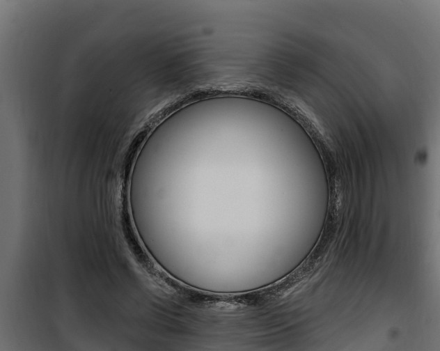 X0000100780542200806191019