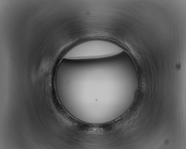 X0000100780543200806191019