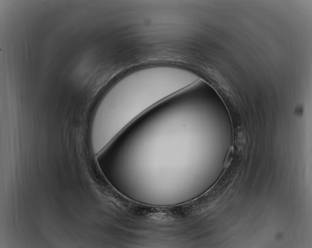 X0000100780544200806191019