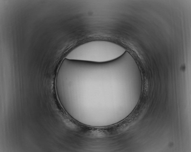 X0000100780545200806191019