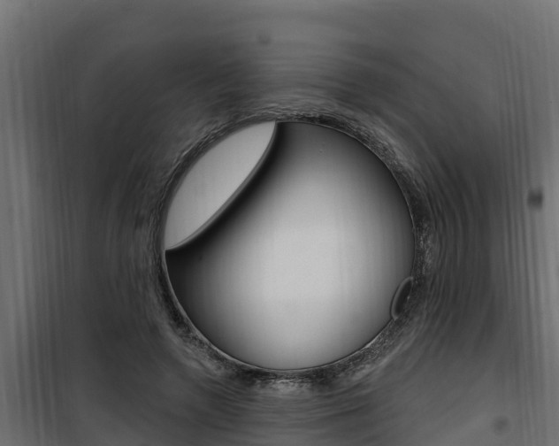 X0000100780546200806191019