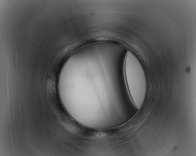 X0000100780547200806191019