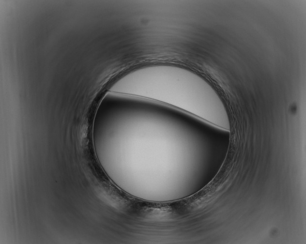 X0000100780548200806191019