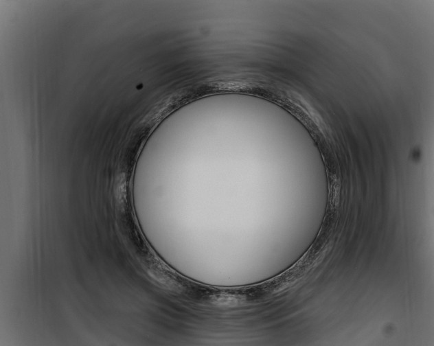 X0000100780549200806191019