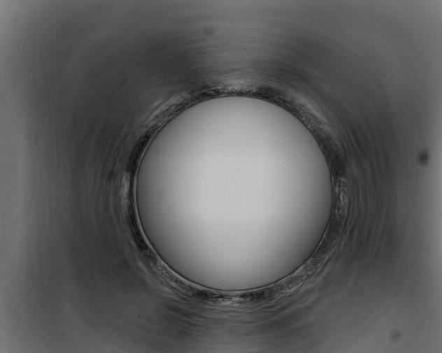 X0000100780550200806191019