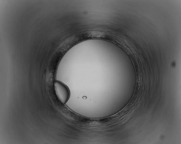 X0000100780551200806191019