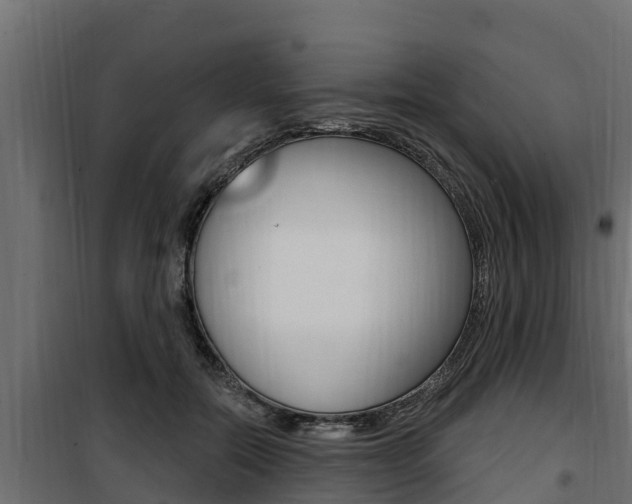 X0000100780554200806191019