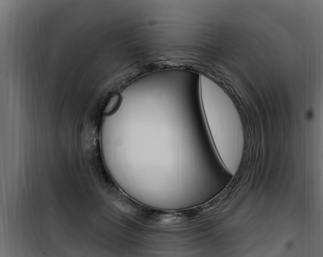 X0000100780555200806191019