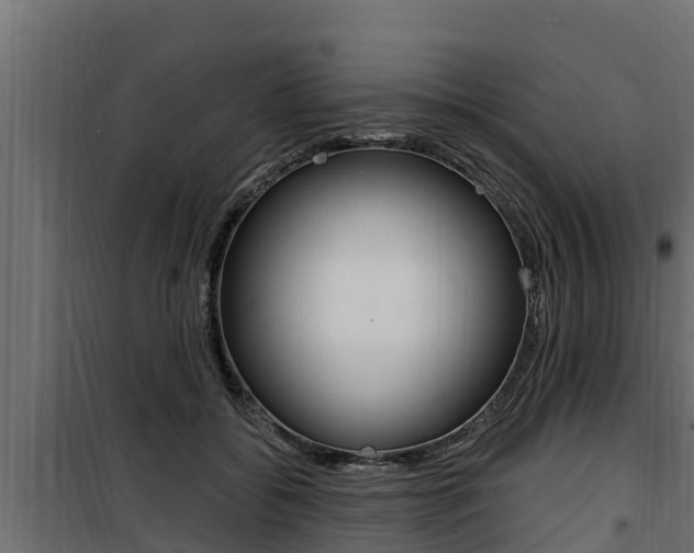 X0000100780556200806191019