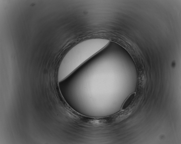 X0000100780558200806191019